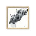 Picture of Mom and baby Zebra _GroupedProduct_Square_Mini_ _GroupedProduct_Square_Framed_Matted_