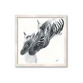 Picture of Mom and baby Zebra _GroupedProduct_Square_Mini_ _GroupedProduct_Square_Framed_Matted_