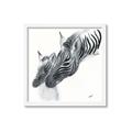 Picture of Mom and baby Zebra _GroupedProduct_Square_Mini_ _GroupedProduct_Square_Framed_Matted_