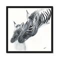Picture of Mom and baby Zebra _GroupedProduct_Square_Mini_ _GroupedProduct_Square_Framed_Matted_