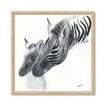 Picture of Mom and baby Zebra _GroupedProduct_Square_Mini_ _GroupedProduct_Square_Framed_Matted_