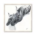 Picture of Mom and baby Zebra _GroupedProduct_Square_Mini_ _GroupedProduct_Square_Framed_Matted_