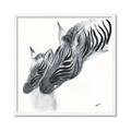 Picture of Mom and baby Zebra _GroupedProduct_Square_Mini_ _GroupedProduct_Square_Framed_Matted_