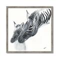 Picture of Mom and baby Zebra _GroupedProduct_Square_Mini_ _GroupedProduct_Square_Framed_Matted_