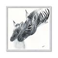 Picture of Mom and baby Zebra _GroupedProduct_Square_Mini_ _GroupedProduct_Square_Framed_Matted_