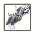 Picture of Mom and baby Zebra _GroupedProduct_Square_Mini_ _GroupedProduct_Square_Framed_Matted_