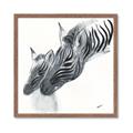 Picture of Mom and baby Zebra _GroupedProduct_Square_Mini_ _GroupedProduct_Square_Framed_Matted_