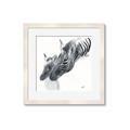 Picture of Mom and baby Zebra _GroupedProduct_Square_Mini_ _GroupedProduct_Square_Framed_Matted_