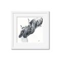 Picture of Mom and baby Zebra _GroupedProduct_Square_Mini_ _GroupedProduct_Square_Framed_Matted_