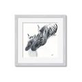 Picture of Mom and baby Zebra _GroupedProduct_Square_Mini_ _GroupedProduct_Square_Framed_Matted_