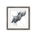 Picture of Mom and baby Zebra _GroupedProduct_Square_Mini_ _GroupedProduct_Square_Framed_Matted_