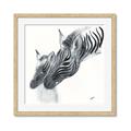 Picture of Mom and baby Zebra _GroupedProduct_Square_Mini_ _GroupedProduct_Square_Framed_Matted_