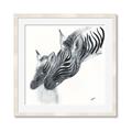 Picture of Mom and baby Zebra _GroupedProduct_Square_Mini_ _GroupedProduct_Square_Framed_Matted_
