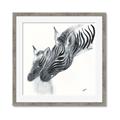 Picture of Mom and baby Zebra _GroupedProduct_Square_Mini_ _GroupedProduct_Square_Framed_Matted_