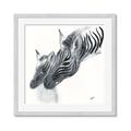 Picture of Mom and baby Zebra _GroupedProduct_Square_Mini_ _GroupedProduct_Square_Framed_Matted_