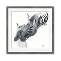 Picture of Mom and baby Zebra _GroupedProduct_Square_Mini_ _GroupedProduct_Square_Framed_Matted_