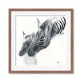 Picture of Mom and baby Zebra _GroupedProduct_Square_Mini_ _GroupedProduct_Square_Framed_Matted_