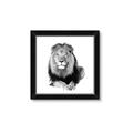 Picture of Lion Black and White _GroupedProduct_Square_Mini_ _GroupedProduct_Square_Framed_Matted_