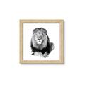 Picture of Lion Black and White _GroupedProduct_Square_Mini_ _GroupedProduct_Square_Framed_Matted_