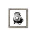 Picture of Lion Black and White _GroupedProduct_Square_Mini_ _GroupedProduct_Square_Framed_Matted_