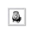 Picture of Lion Black and White _GroupedProduct_Square_Mini_ _GroupedProduct_Square_Framed_Matted_