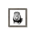 Picture of Lion Black and White _GroupedProduct_Square_Mini_ _GroupedProduct_Square_Framed_Matted_