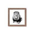 Picture of Lion Black and White _GroupedProduct_Square_Mini_ _GroupedProduct_Square_Framed_Matted_