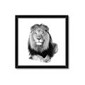 Picture of Lion Black and White _GroupedProduct_Square_Mini_ _GroupedProduct_Square_Framed_Matted_