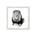 Picture of Lion Black and White _GroupedProduct_Square_Mini_ _GroupedProduct_Square_Framed_Matted_
