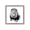 Picture of Lion Black and White _GroupedProduct_Square_Mini_ _GroupedProduct_Square_Framed_Matted_