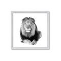 Picture of Lion Black and White _GroupedProduct_Square_Mini_ _GroupedProduct_Square_Framed_Matted_