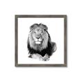 Picture of Lion Black and White _GroupedProduct_Square_Mini_ _GroupedProduct_Square_Framed_Matted_