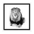 Picture of Lion Black and White _GroupedProduct_Square_Mini_ _GroupedProduct_Square_Framed_Matted_