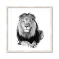 Picture of Lion Black and White _GroupedProduct_Square_Mini_ _GroupedProduct_Square_Framed_Matted_
