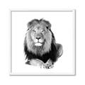 Picture of Lion Black and White _GroupedProduct_Square_Mini_ _GroupedProduct_Square_Framed_Matted_