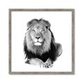 Picture of Lion Black and White _GroupedProduct_Square_Mini_ _GroupedProduct_Square_Framed_Matted_