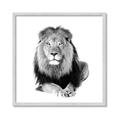 Picture of Lion Black and White _GroupedProduct_Square_Mini_ _GroupedProduct_Square_Framed_Matted_