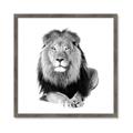 Picture of Lion Black and White _GroupedProduct_Square_Mini_ _GroupedProduct_Square_Framed_Matted_