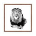 Picture of Lion Black and White _GroupedProduct_Square_Mini_ _GroupedProduct_Square_Framed_Matted_
