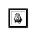 Picture of Lion Black and White _GroupedProduct_Square_Mini_ _GroupedProduct_Square_Framed_Matted_
