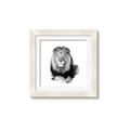 Picture of Lion Black and White _GroupedProduct_Square_Mini_ _GroupedProduct_Square_Framed_Matted_