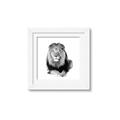 Picture of Lion Black and White _GroupedProduct_Square_Mini_ _GroupedProduct_Square_Framed_Matted_
