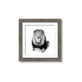 Picture of Lion Black and White _GroupedProduct_Square_Mini_ _GroupedProduct_Square_Framed_Matted_