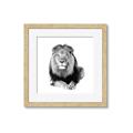 Picture of Lion Black and White _GroupedProduct_Square_Mini_ _GroupedProduct_Square_Framed_Matted_