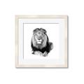 Picture of Lion Black and White _GroupedProduct_Square_Mini_ _GroupedProduct_Square_Framed_Matted_