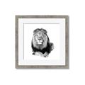 Picture of Lion Black and White _GroupedProduct_Square_Mini_ _GroupedProduct_Square_Framed_Matted_