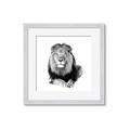 Picture of Lion Black and White _GroupedProduct_Square_Mini_ _GroupedProduct_Square_Framed_Matted_