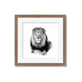 Picture of Lion Black and White _GroupedProduct_Square_Mini_ _GroupedProduct_Square_Framed_Matted_