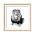 Picture of Lion Black and White _GroupedProduct_Square_Mini_ _GroupedProduct_Square_Framed_Matted_