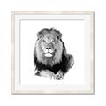 Picture of Lion Black and White _GroupedProduct_Square_Mini_ _GroupedProduct_Square_Framed_Matted_